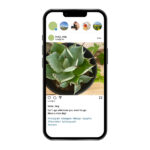 【2022年最新版】インスタグラム等のSNS運用代行サービス徹底比較