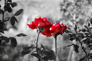 今話題の「Bibiy(ビビィ)」とは？デザイナーや店舗情報まで、その魅力をご紹介します！