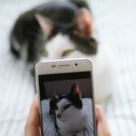 BeReal(ビーリアル)でインスタから友だち追加してもらうには? その他の追加方法も解説!