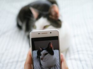 BeReal(ビーリアル)でインスタから友だち追加してもらうには? その他の追加方法も解説!