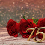 【TikTok】  再生回数の平均は？ 確認方法やバズるコツについてご紹介します！