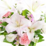 喪中の新年の挨拶はどうすればいい?注意すべきポイントと例文をご紹介