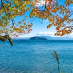 【2024年最新】滋賀県でおすすめのSEO対策会社3選！成果報酬SEOの対応可否や費用も紹介