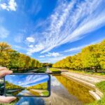 LINEアルバムに動画を追加する方法は？ 使い方・活用法を徹底解説します