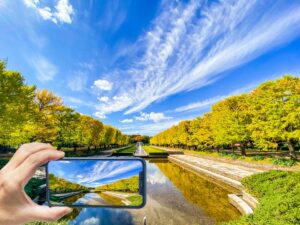 LINEアルバムに動画を追加する方法は？ 使い方・活用法を徹底解説します