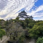 【保存版】和歌山観光完全ガイド|おすすめスポットや絶品グルメ、モデルコースを徹底解説