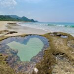 【インスタ・LINE】青いハートの絵文字💙の意味は恋愛感情？日本と海外での違いについても紹介します